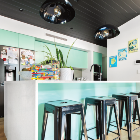 Modern Kitchen